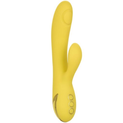 CALEXOTICS – SAN DIEGO SEDUCTION - intimamenities.com
