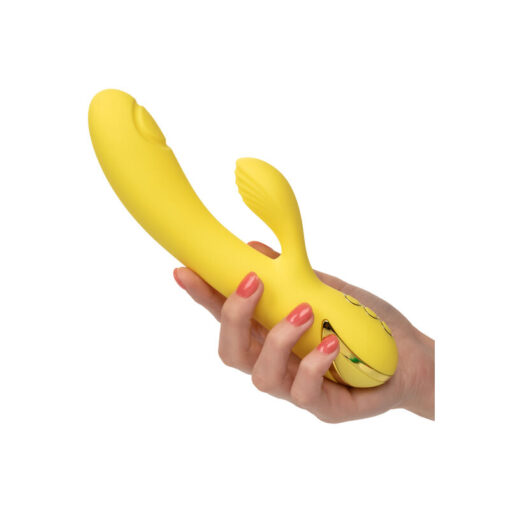 CALEXOTICS – SAN DIEGO SEDUCTION - intimamenities.com