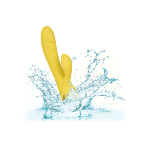 CALEXOTICS – SAN DIEGO SEDUCTION - intimamenities.com