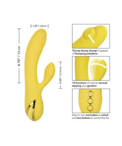 CALEXOTICS – SAN DIEGO SEDUCTION - intimamenities.com