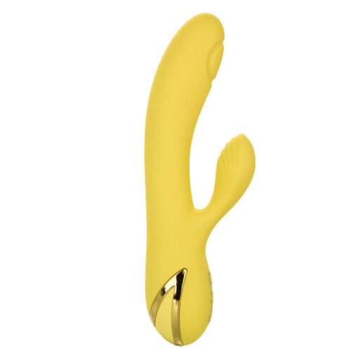 CALEXOTICS – SAN DIEGO SEDUCTION - intimamenities.com