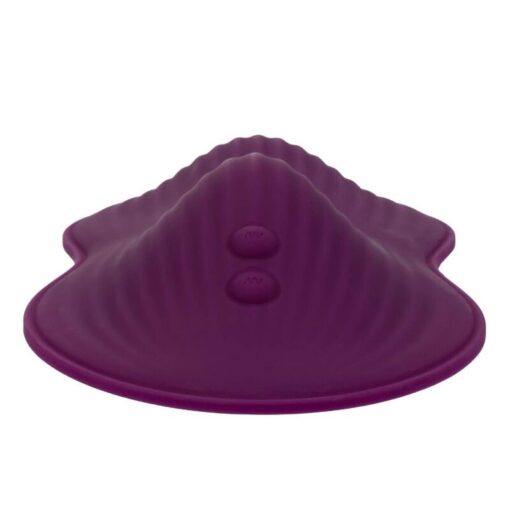 CALEXOTICS – REMOTE CONTROL DUAL RIDER - intimamenities.com