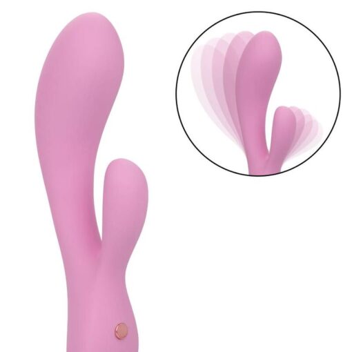 CALEXOTICS – CONTOUR ZOIE ROSA - intimamenities.com