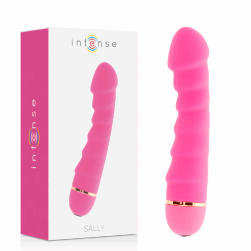 INTENSE – SALLY 20 SPEEDS SILICONE ROSA - intimamenities.com
