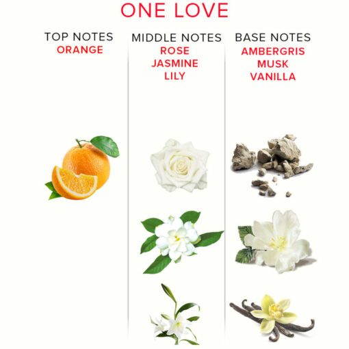 EYE OF LOVE – EOL PHR PERFUME DELUXE 50 ML – ONE LOVE - intimamenities.com