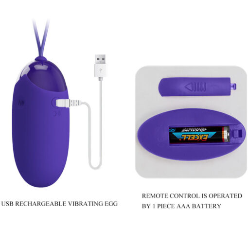 PRETTY LOVE – BERGER YOUTH HUEVO VIBRADOR CONTROL REMOTO VIOLETA - intimamenities.com