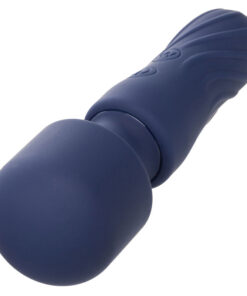 CALEXOTICS – CHARISMA CHARM MASAJEADOR 12 FUNCIONES MORADO - intimamenities.com