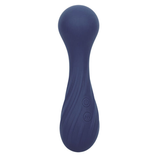 CALEXOTICS – CHARISMA TEMPTATION MASAJEADOR 12 FUNCIONES MORADO - intimamenities.com