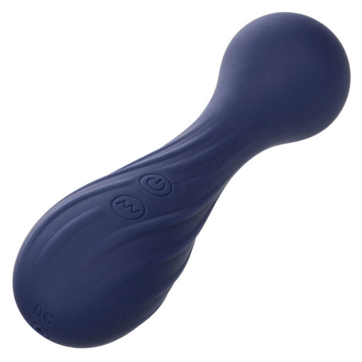 CALEXOTICS – CHARISMA TEMPTATION MASAJEADOR 12 FUNCIONES MORADO - intimamenities.com