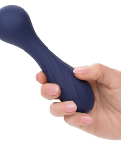 CALEXOTICS – CHARISMA TEMPTATION MASAJEADOR 12 FUNCIONES MORADO - intimamenities.com