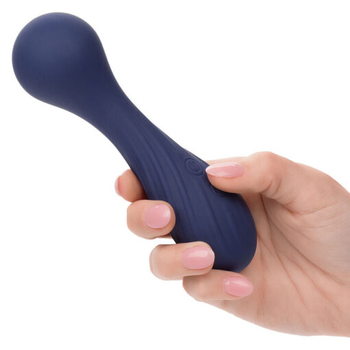 CALEXOTICS – CHARISMA TEMPTATION MASAJEADOR 12 FUNCIONES MORADO - intimamenities.com