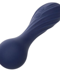 CALEXOTICS – CHARISMA TEMPTATION MASAJEADOR 12 FUNCIONES MORADO - intimamenities.com