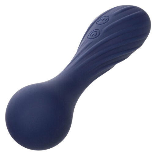 CALEXOTICS – CHARISMA TEMPTATION MASAJEADOR 12 FUNCIONES MORADO - intimamenities.com