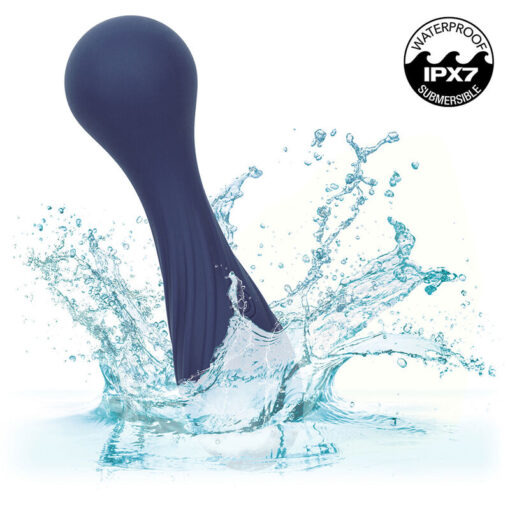 CALEXOTICS – CHARISMA TEMPTATION MASAJEADOR 12 FUNCIONES MORADO - intimamenities.com