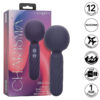 CALEXOTICS – CHARISMA SEDUCTION MASAJEADOR 12 FUNCIONES 17,75 CM X 6,25 CM MORADO - intimamenities.com