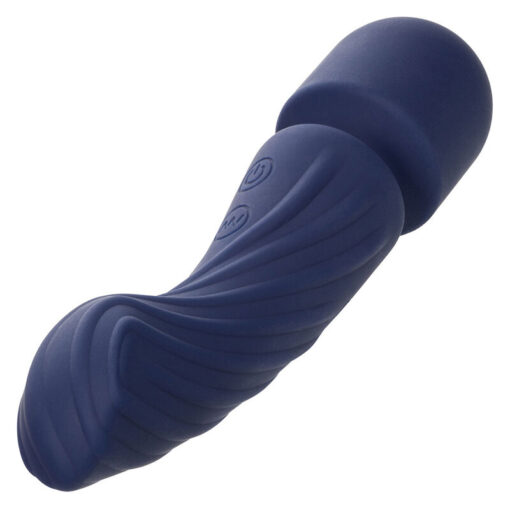 CALEXOTICS – CHARISMA ALLURE MASAJEADOR DOBLE MOTOR 12 FUNCIONES 17,25 CM X 4,5 CM MORADO - intimamenities.com