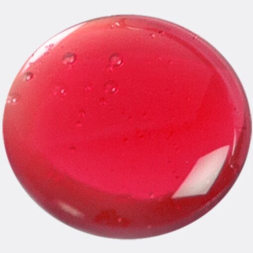 SECRETPLAY – MONODOSIS LUBRICANTE FRESAS 2 ML - intimamenities.com