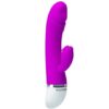 PRETTY LOVE – FLIRTATION VIBRADOR CON RABBIT DAVID - intimamenities.com