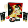 SHUNGA – KIT SECRET GEISHA FRESAS Y CAVA - intimamenities.com