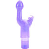 CALEXOTICS – THE ORIGINAL CONEJITO VIBRADOR KISS LILA - intimamenities.com